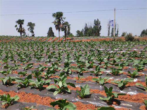 电子游戏app下载安装