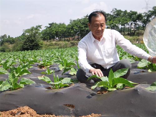 电子游戏app下载安装