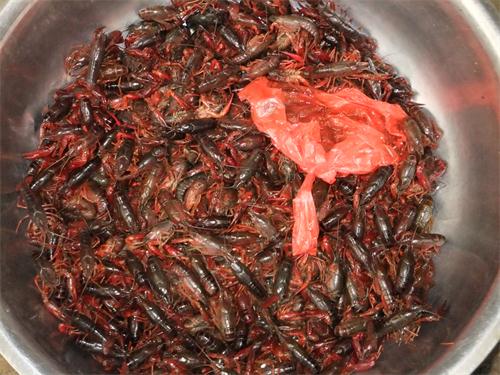 电子游戏app下载安装