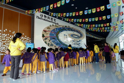 电子游戏app下载安装