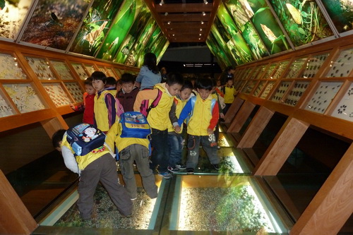 电子游戏app下载安装