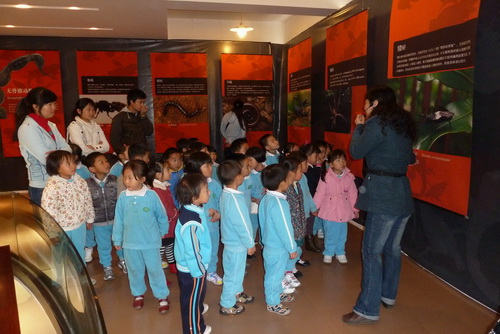 电子游戏app下载安装