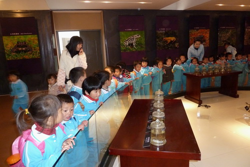 电子游戏app下载安装