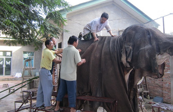 电子游戏app下载安装