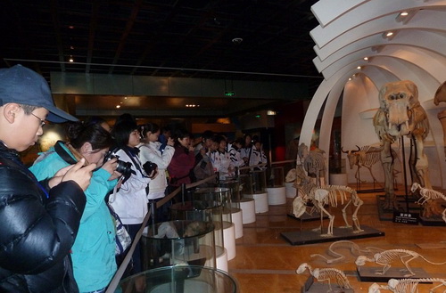 电子游戏app下载安装