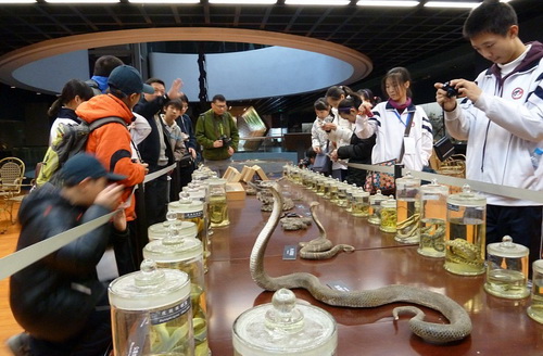 电子游戏app下载安装