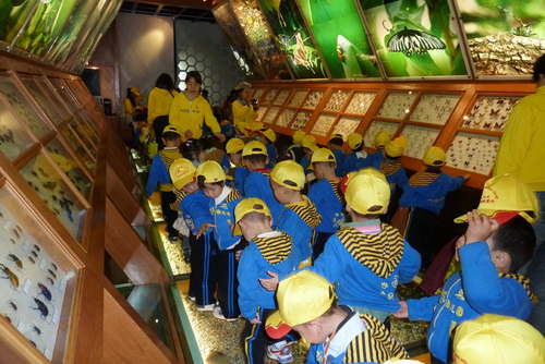 电子游戏app下载安装