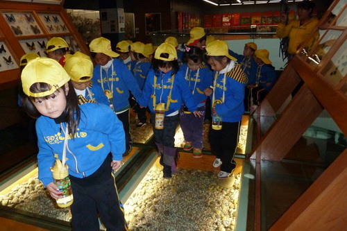 电子游戏app下载安装