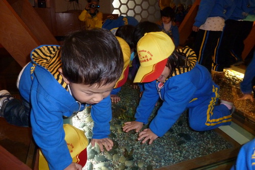 电子游戏app下载安装