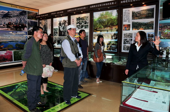 电子游戏app下载安装