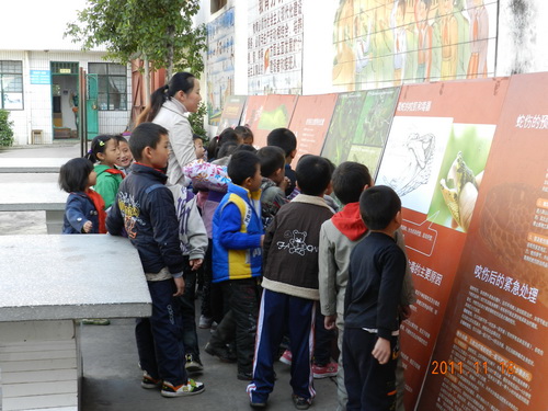 电子游戏app下载安装