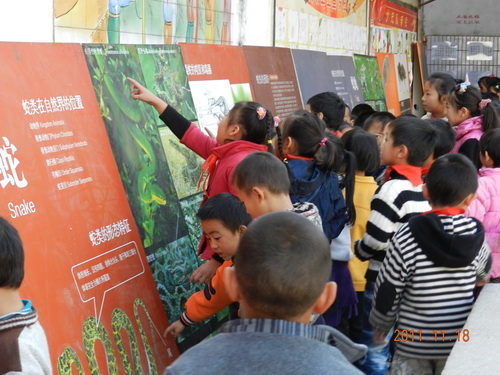 电子游戏app下载安装