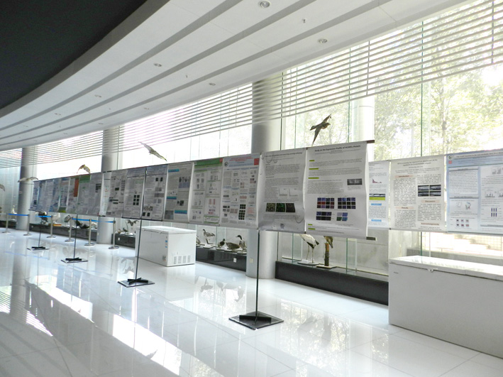 电子游戏app下载安装