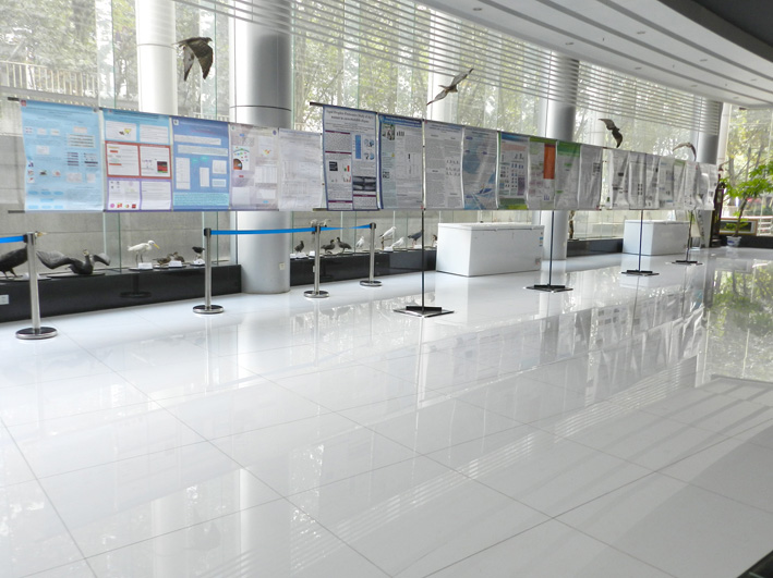 电子游戏app下载安装