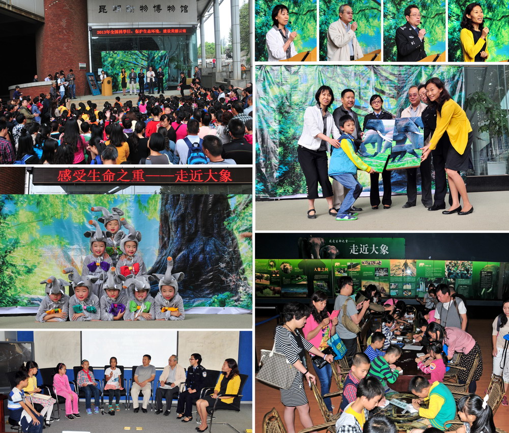 电子游戏app下载安装