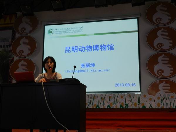 电子游戏app下载安装