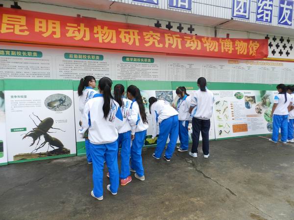 电子游戏app下载安装