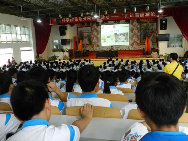 电子游戏app下载安装