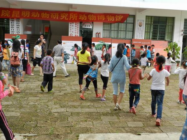 电子游戏app下载安装