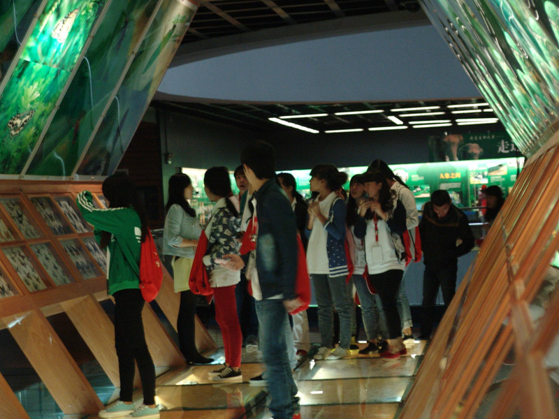 电子游戏app下载安装