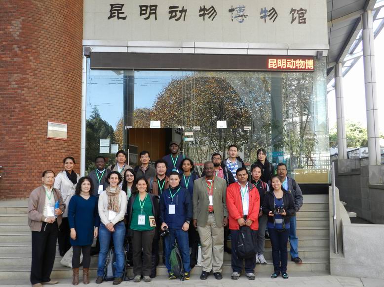 电子游戏app下载安装