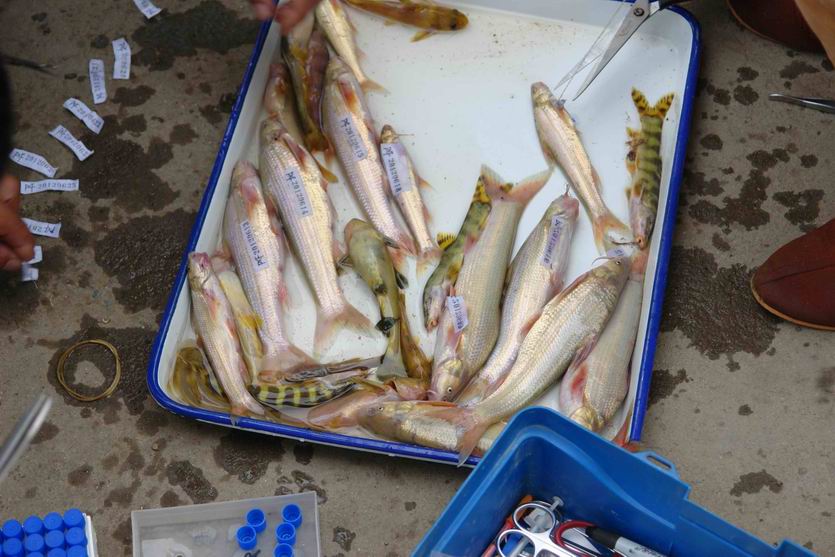 电子游戏app下载安装