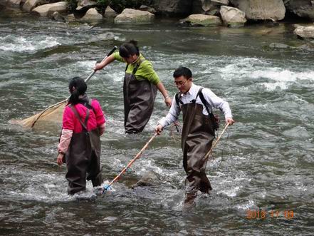 电子游戏app下载安装