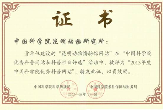 电子游戏app下载安装