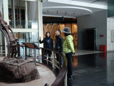 电子游戏app下载安装