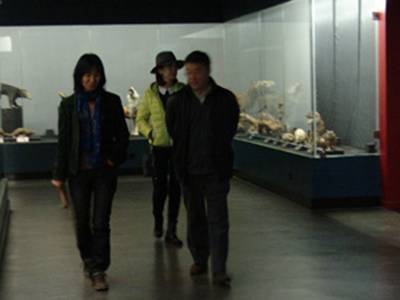 电子游戏app下载安装