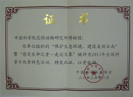 电子游戏app下载安装