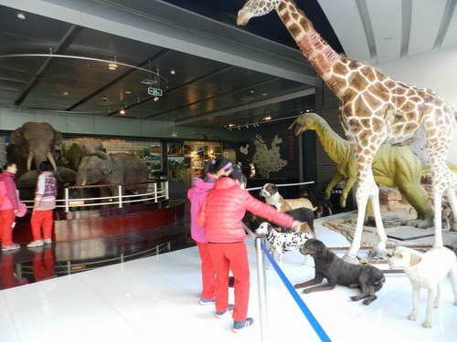 电子游戏app下载安装