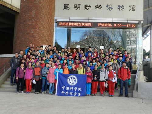 电子游戏app下载安装