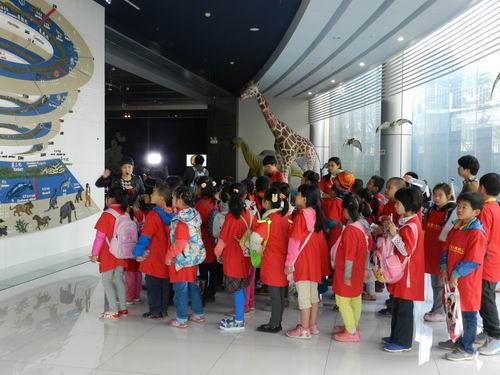 电子游戏app下载安装