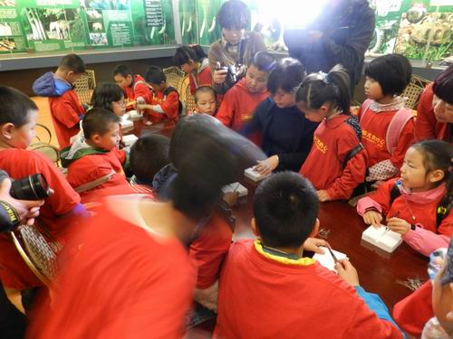 电子游戏app下载安装