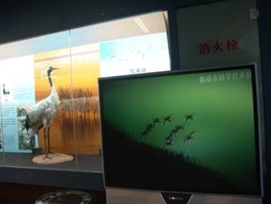 电子游戏app下载安装