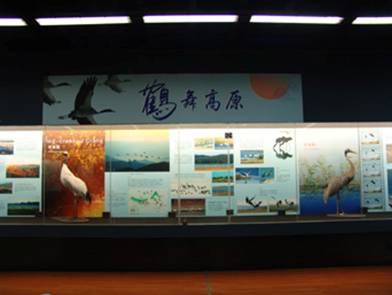 电子游戏app下载安装