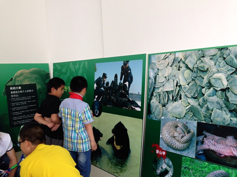 电子游戏app下载安装