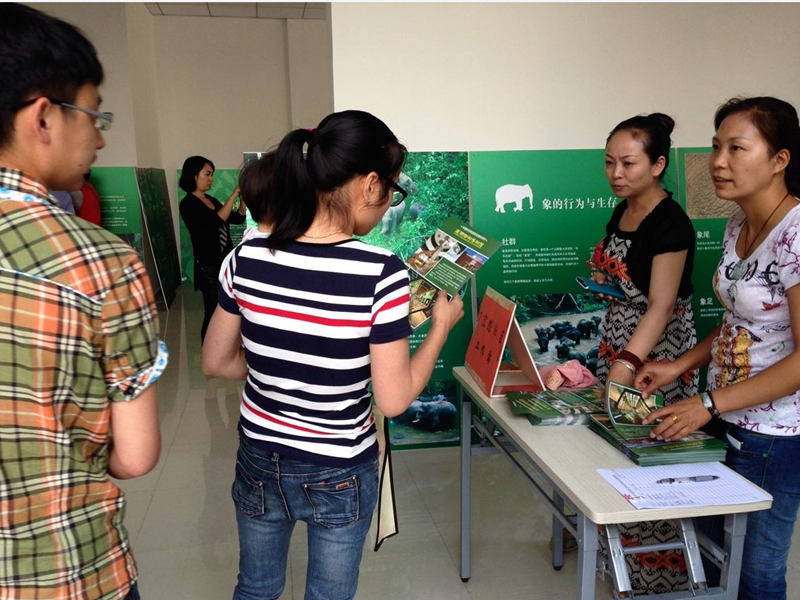 电子游戏app下载安装