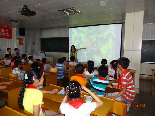 电子游戏app下载安装