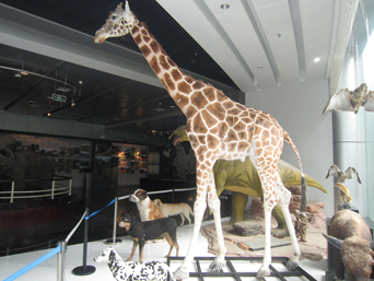 电子游戏app下载安装