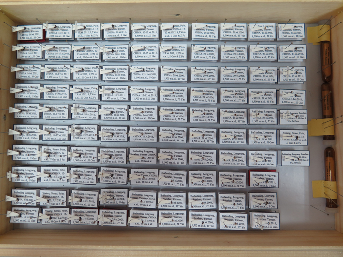 电子游戏app下载安装