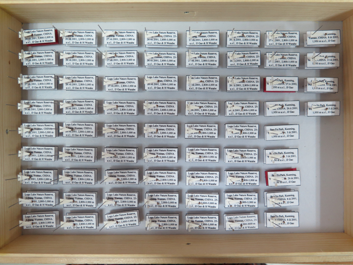 电子游戏app下载安装