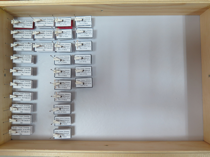 电子游戏app下载安装