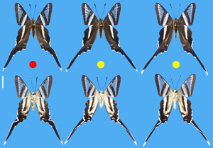 电子游戏app下载安装