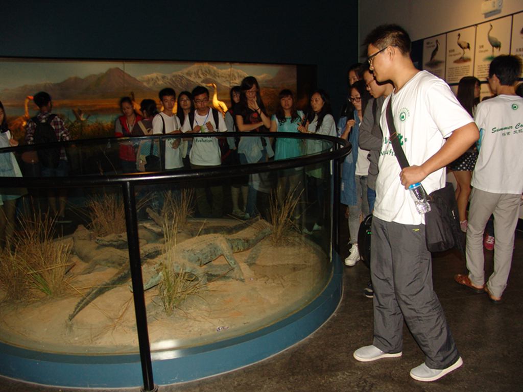 电子游戏app下载安装