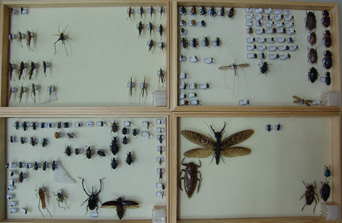 电子游戏app下载安装