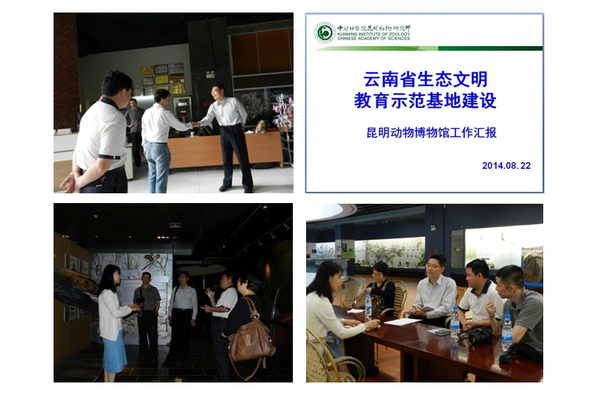 电子游戏app下载安装