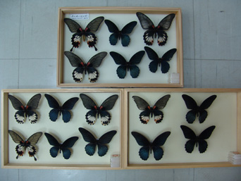 电子游戏app下载安装