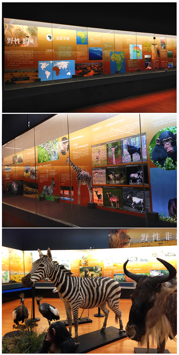 电子游戏app下载安装